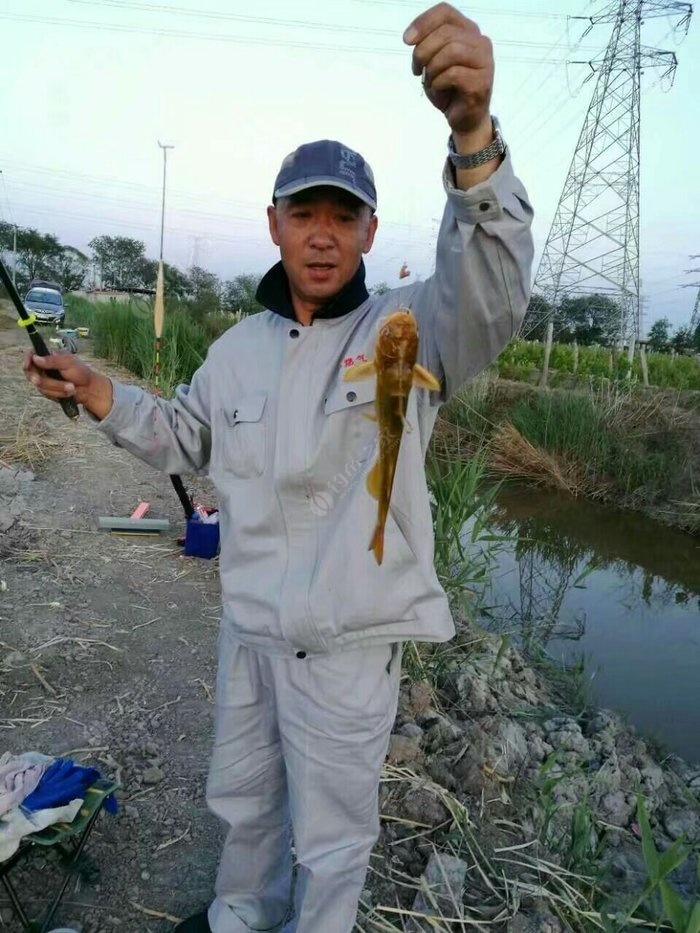 各地嘎鱼,还有差异. - 钓鱼之家