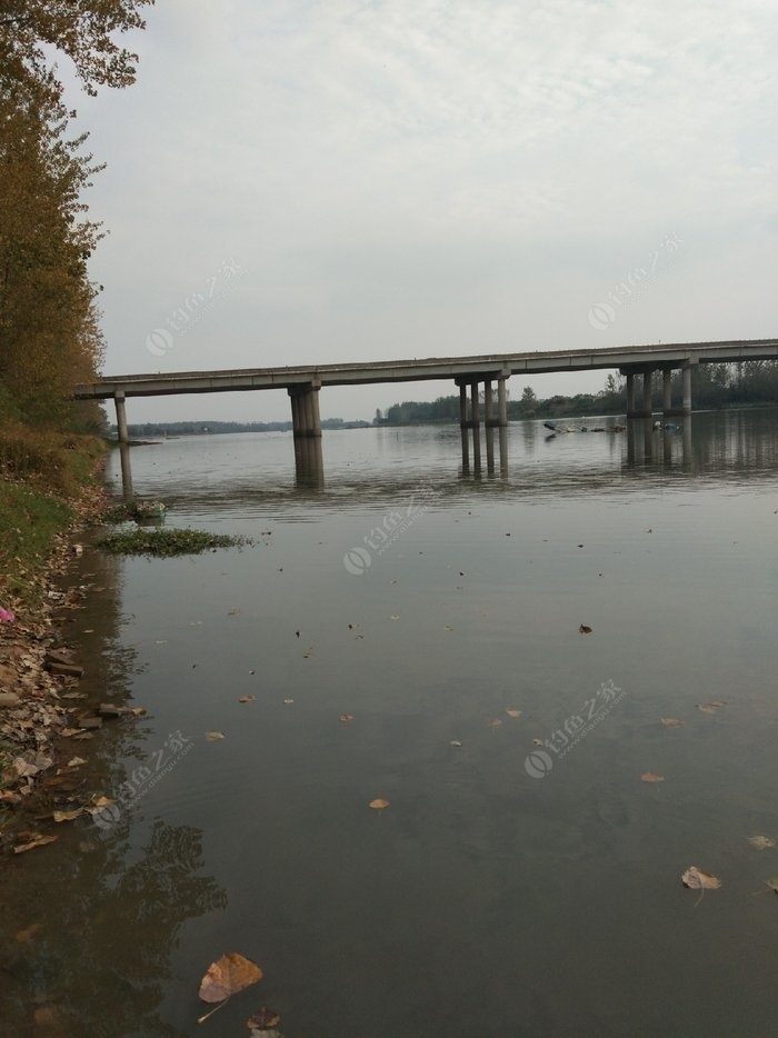 明天早上去宿鸭湖刘大桥去钓鱼