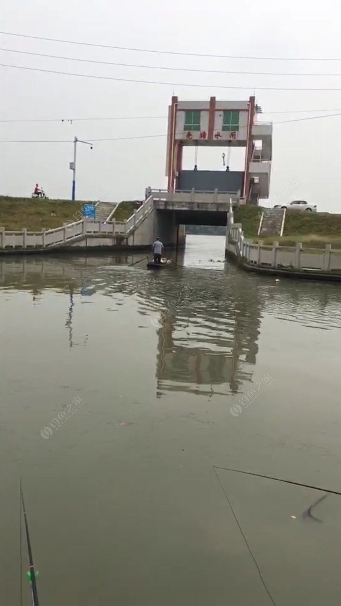 钓  场: 水闸 饵  料:      下雨,无聊发一发,上星期的,走水,只能平流