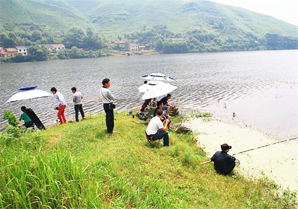 浅谈河流水库野钓选钓位技巧_钓鱼人必看