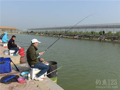 春季釣魚