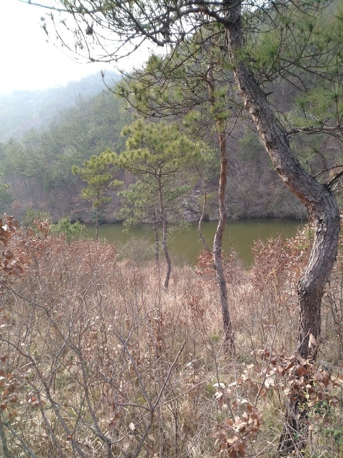 阳春有多少人口_阳春市山坪有多少人口