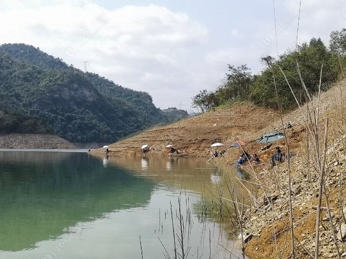 03.10百色水库,阳圩华村,继续昨天的