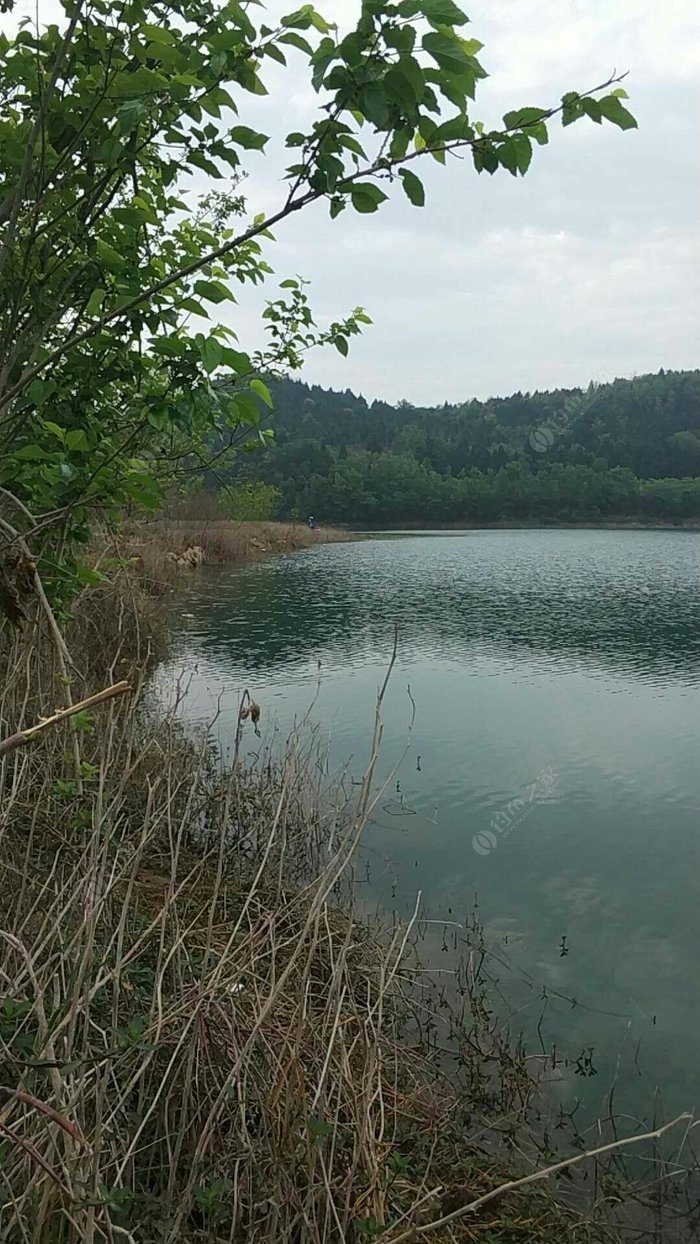 继鲁班水库,安县白水湖旁的烂田坝水库,第三钓,仙海(绵阳)