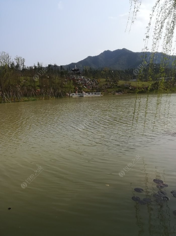 是在我们县的书香公园,去年刚建的,是人们散步的好去处,有一个大水塘