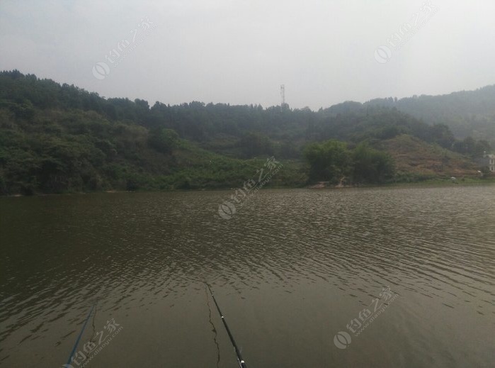 今天休息去山门水库钓鱼