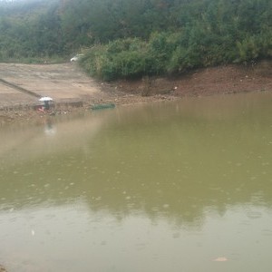 大岭水库_大岭水库钓鱼攻略_大岭水库可以钓鱼吗 - 之