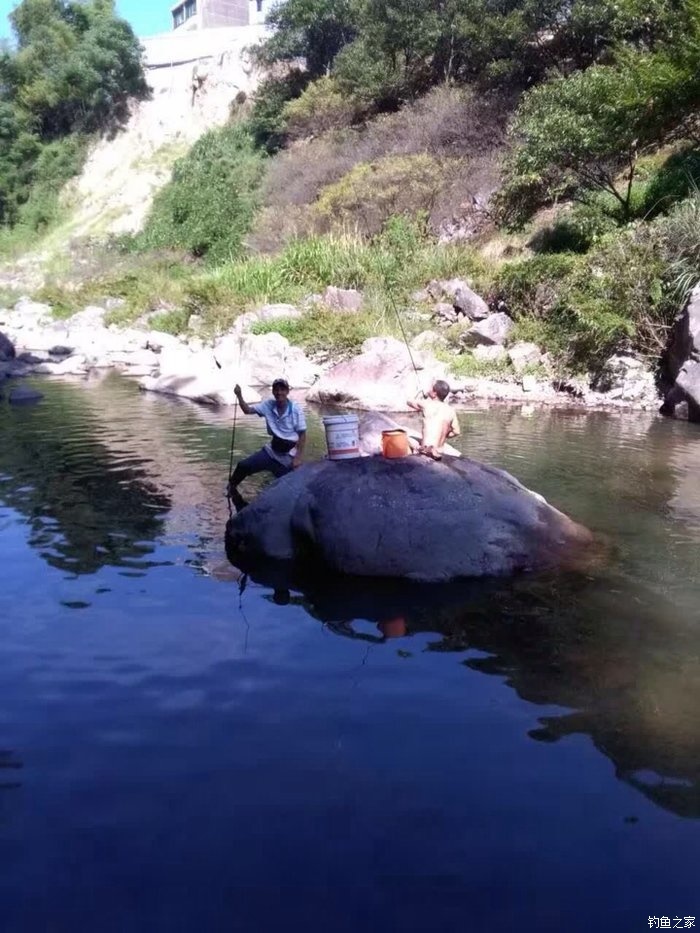 小溪釣淡水石斑魚