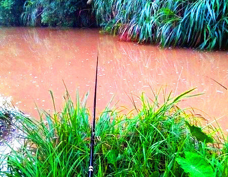 雨后水浑，钓鲶鱼！