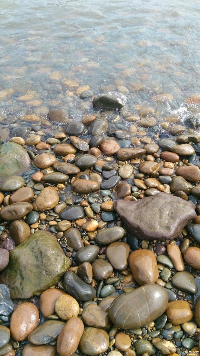 河边的小石头图片大全图片
