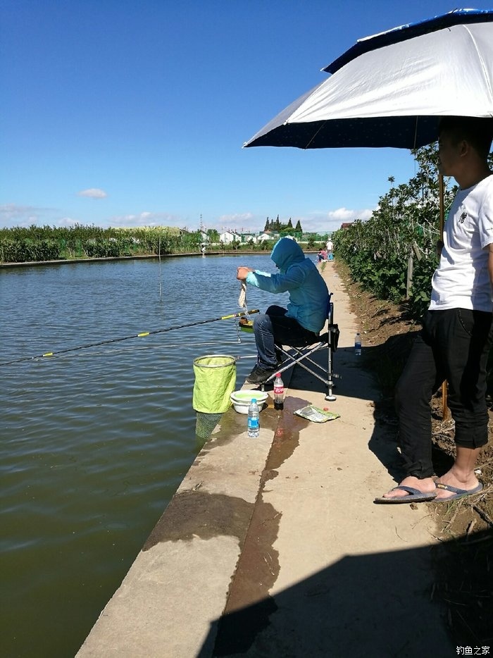 野河,和朋友一起感受一下上海的黑坑 自制饵料钓鲢鳙鱼 