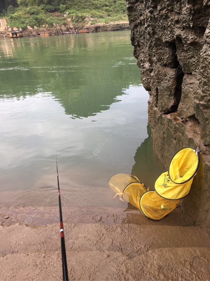 红水河激流钓蓝刀