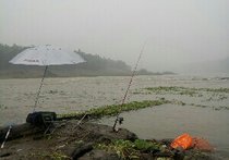 沱江河天气预报