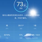 解读救心丸之冷雨夜