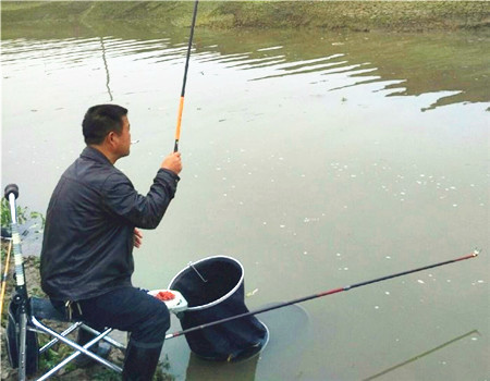 长江在缓慢涨水了 自制饵料钓黄颡鱼