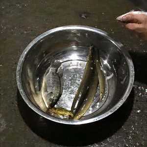 渔莱港渔具