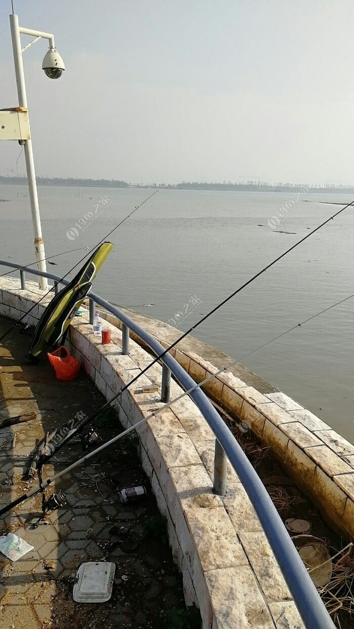 流溪河李溪大坝找钓点 