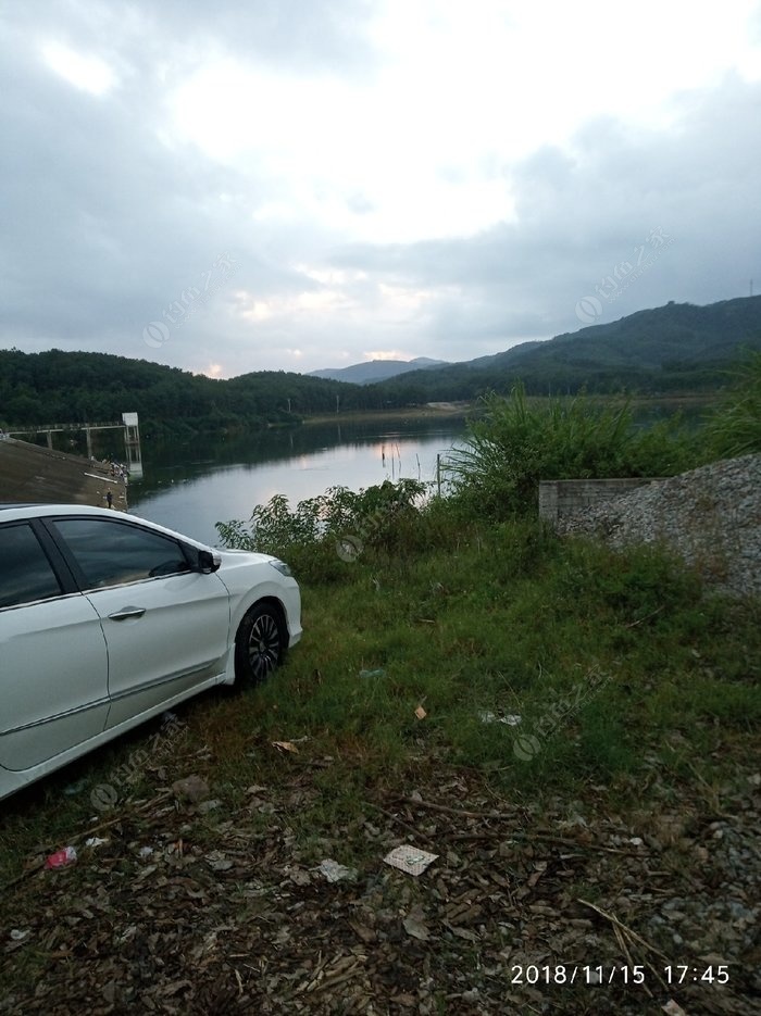 石壁水庫野釣,羅非逛拉,真過癮! - 釣魚之家