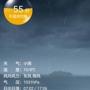 2016年最后一钓，雨天湿地公园小报仇