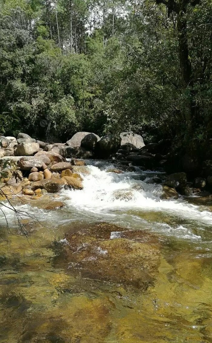 西坑水库图片