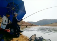 行侣天涯游钓中国的视频合集
