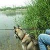 我一直在钓鱼的路上