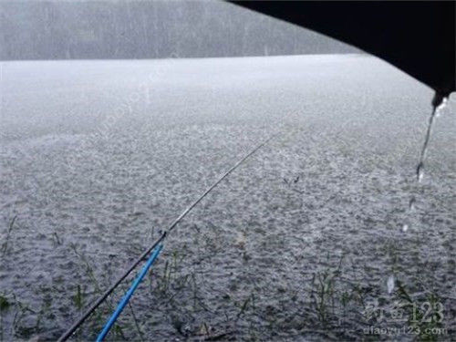 钓鱼与天气