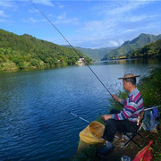 高手分享如何用手竿在湖中钓草青鲢鳙技巧