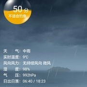 斜风细雨不须归