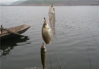 确保提升春季渔获的六个钓鱼技巧