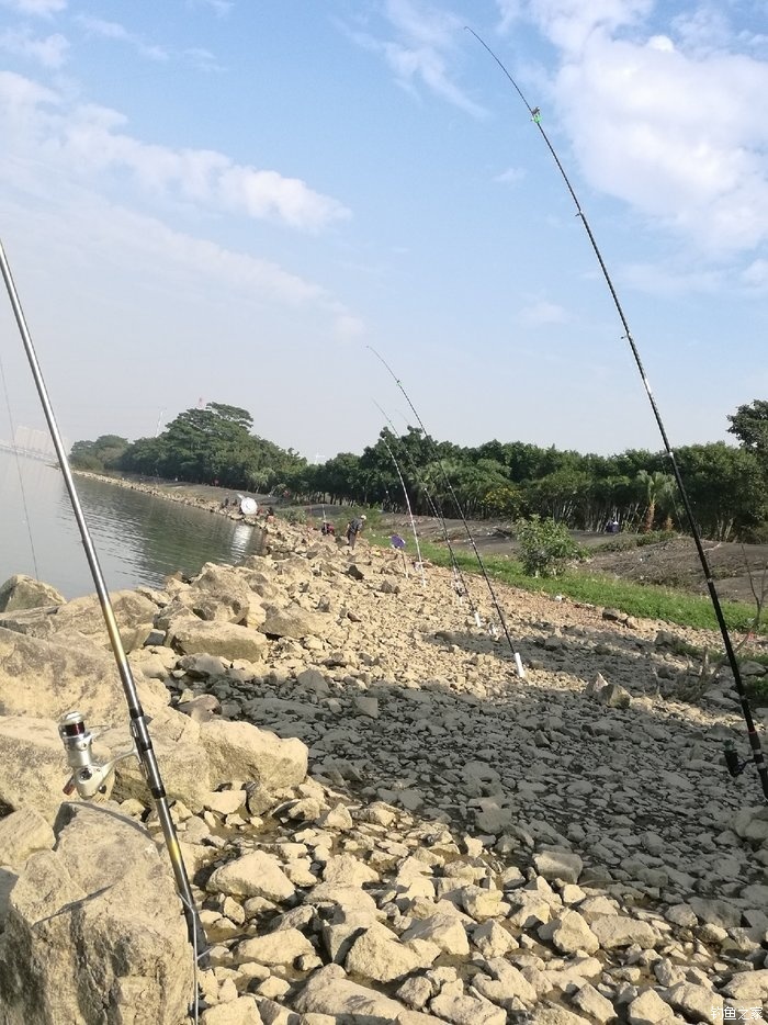 間: 2017年03月15日 13:49 釣 場: 東莞石排東江 餌 料: 藍鯽 速攻