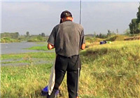 《三本先生》傳統釣第76期 臨沂市沭河探釣鯽魚