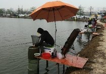 龙溪渔乐钓鱼场天气预报