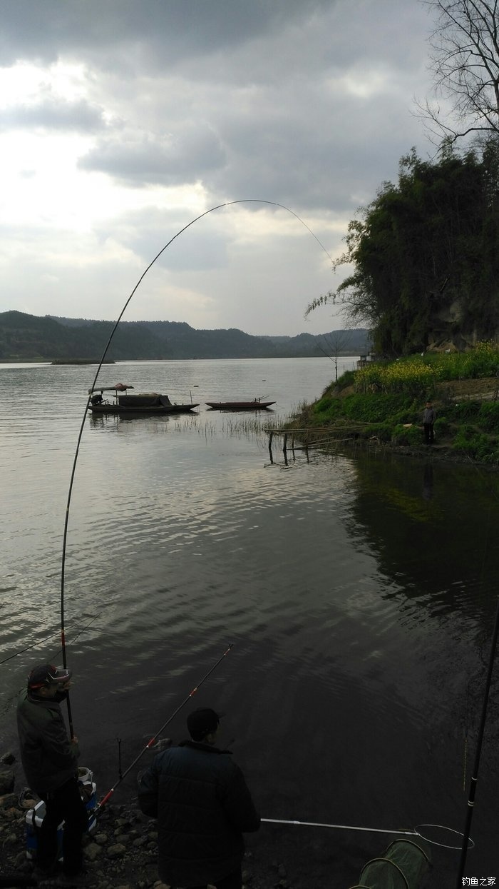 澄江钓鱼地方图片