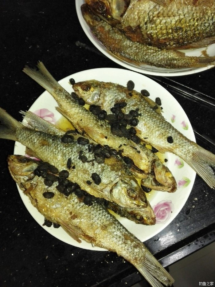 四天戰四場 自制餌料釣鯪魚