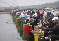 5种提高竞技钓鲫鱼比赛渔获的技巧