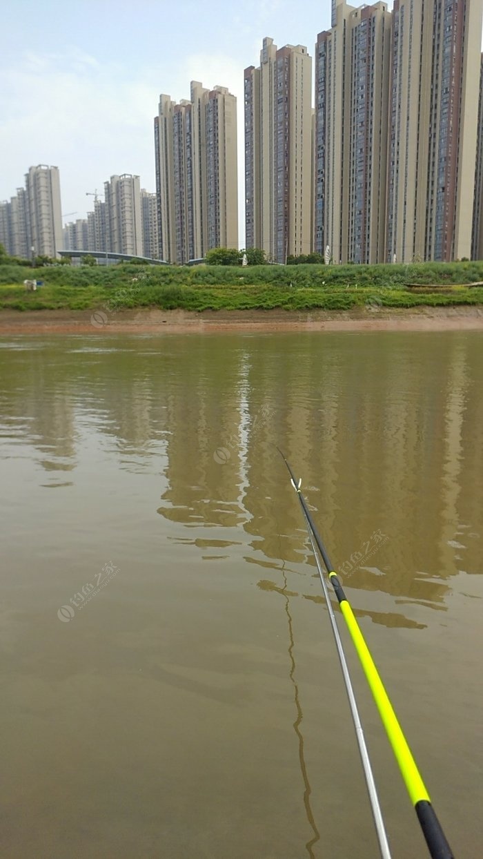 岳阳小南湖钓鱼图片