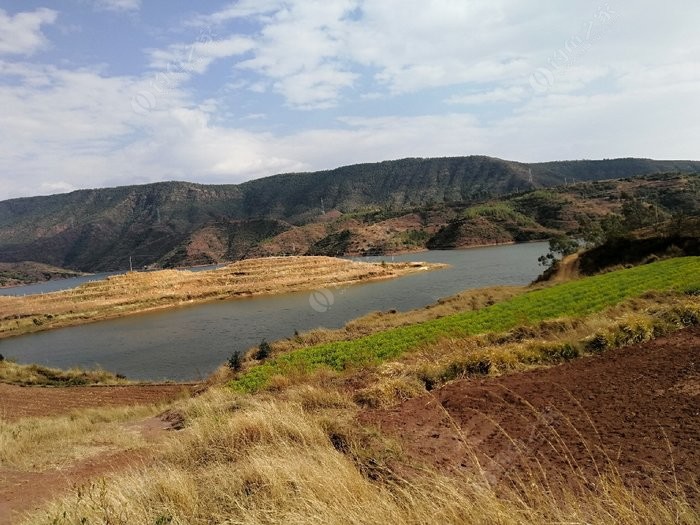 野钓永仁麻栗树水库