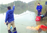 《我的7日江湖》第二季10期 寶飛龍隊連竿上黃尾  隊員意外擒獲鰱鳙魚（上）