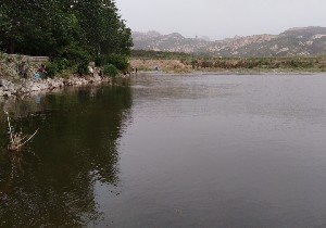 青源湖