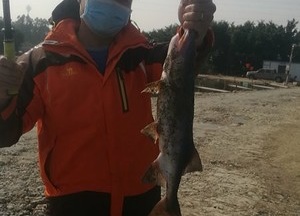 水乡新城钓鱼场