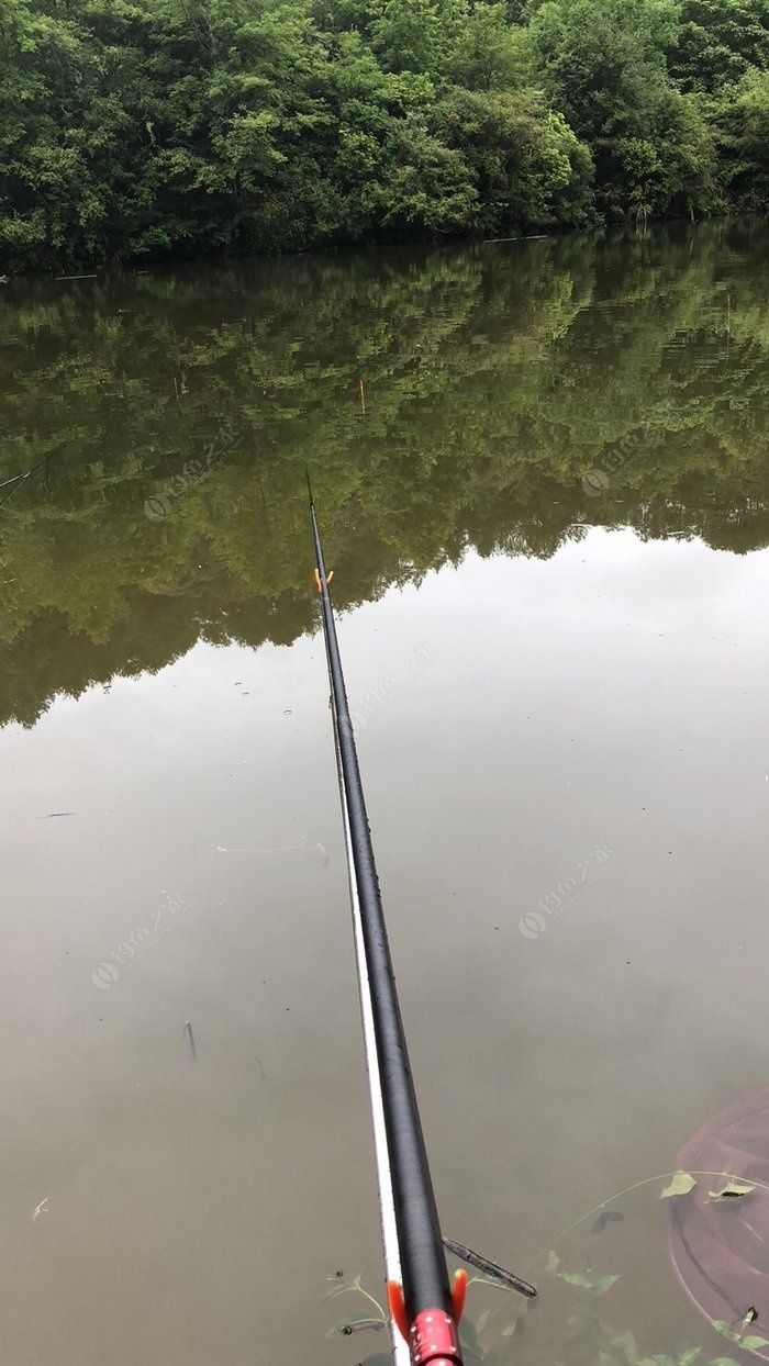 没啥地方钓鱼 只能野外水库玩玩