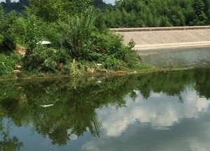 河源水库