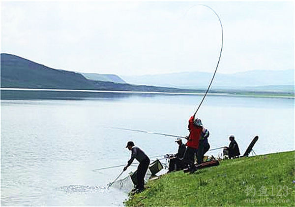 水库钓鱼，鱼性探索，鱼饵技巧，钓具技巧，抛竿钓