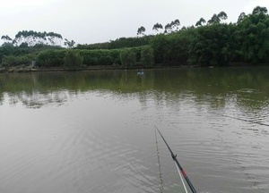 农家大院