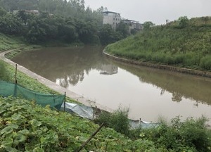 跳石河