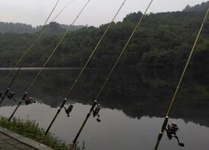 龙溪河魏家河坎段