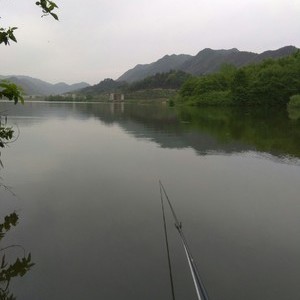 桃花江水库