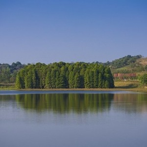 大湾水库