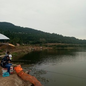 升钟湖钓鱼农家乐图片